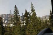 38 - Bow Lake  - IMG_0878
